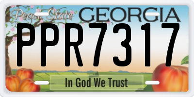 GA license plate PPR7317