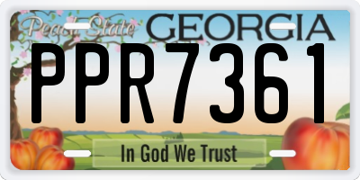 GA license plate PPR7361