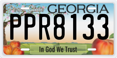 GA license plate PPR8133