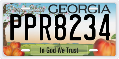 GA license plate PPR8234