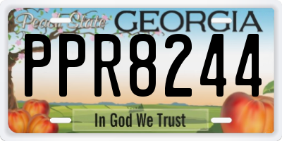 GA license plate PPR8244