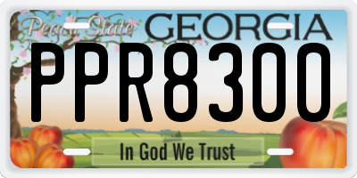 GA license plate PPR8300