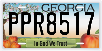 GA license plate PPR8517