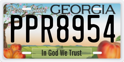 GA license plate PPR8954