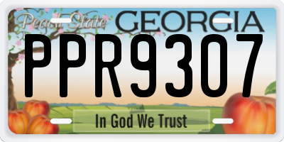 GA license plate PPR9307