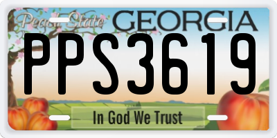 GA license plate PPS3619