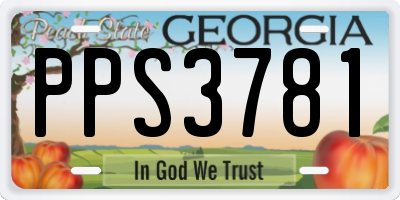 GA license plate PPS3781