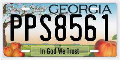 GA license plate PPS8561