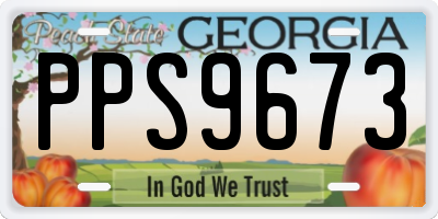 GA license plate PPS9673
