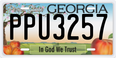 GA license plate PPU3257