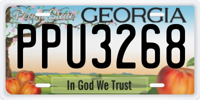 GA license plate PPU3268