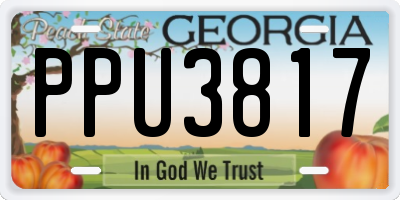 GA license plate PPU3817