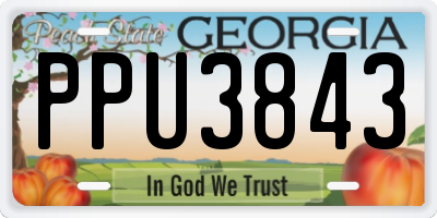 GA license plate PPU3843
