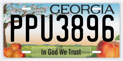 GA license plate PPU3896