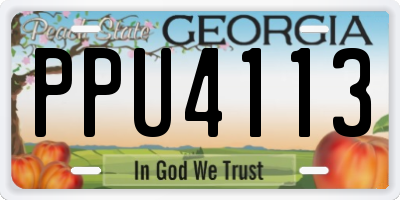 GA license plate PPU4113