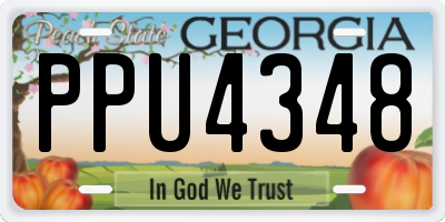 GA license plate PPU4348