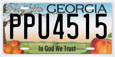 GA license plate PPU4515