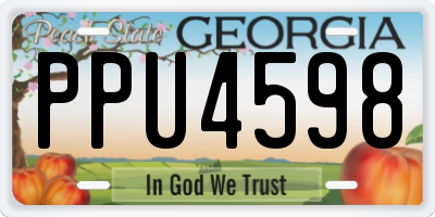 GA license plate PPU4598