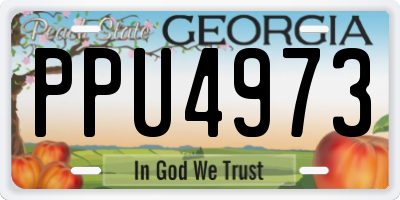 GA license plate PPU4973