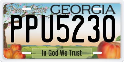 GA license plate PPU5230