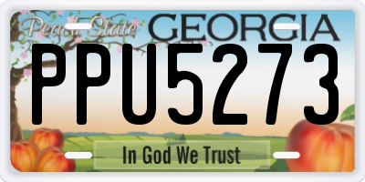 GA license plate PPU5273