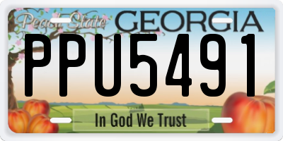 GA license plate PPU5491