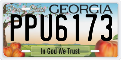 GA license plate PPU6173