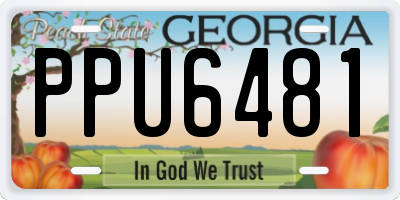 GA license plate PPU6481