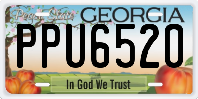 GA license plate PPU6520