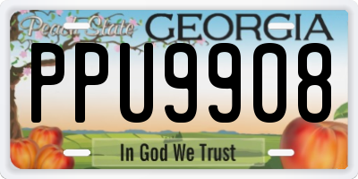 GA license plate PPU9908