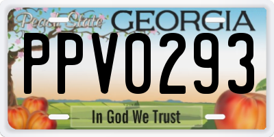 GA license plate PPV0293