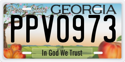 GA license plate PPV0973