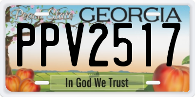 GA license plate PPV2517