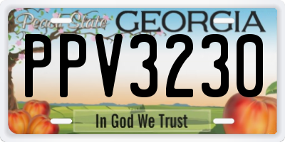 GA license plate PPV3230