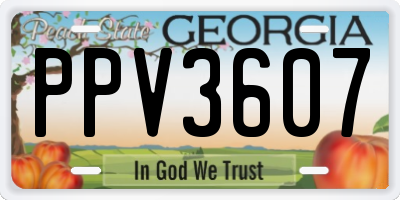 GA license plate PPV3607