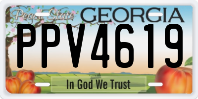 GA license plate PPV4619