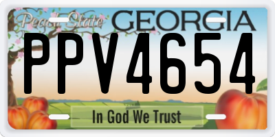 GA license plate PPV4654