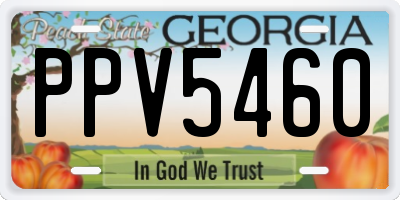 GA license plate PPV5460