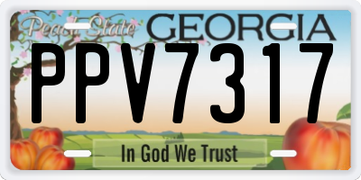 GA license plate PPV7317