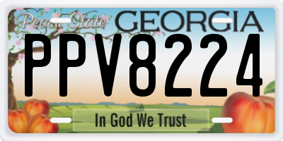 GA license plate PPV8224