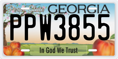 GA license plate PPW3855