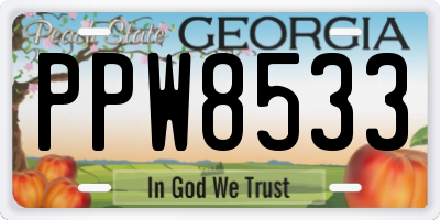 GA license plate PPW8533