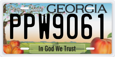 GA license plate PPW9061