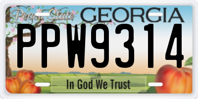 GA license plate PPW9314