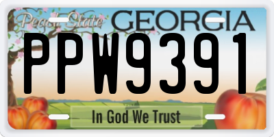 GA license plate PPW9391