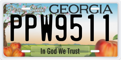 GA license plate PPW9511