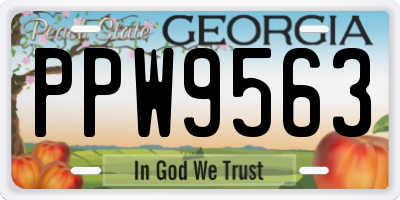 GA license plate PPW9563