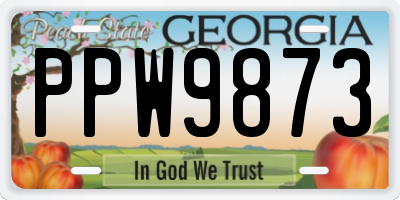 GA license plate PPW9873