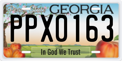 GA license plate PPX0163