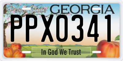 GA license plate PPX0341